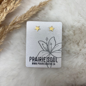 Metal Shape Stud Earring / Star