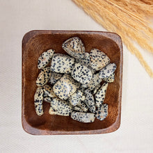 Dalmatian Jasper Pocket Stone | The Yin-Yang Balancer
