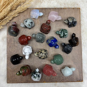 Gemstone Turtle Pocket Stone / Variety of Stones