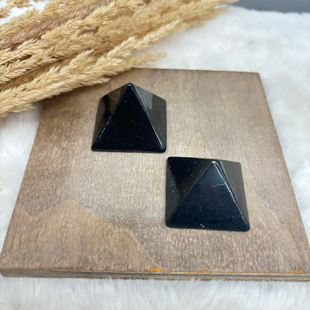 Shungite Stone