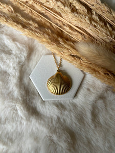 Stainless Steel / Sea Shell Necklace