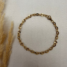 Bracelet + Anklet | Oval Rolo Link | Stainless Steel
