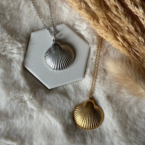 Stainless Steel / Sea Shell Pendant or Necklace