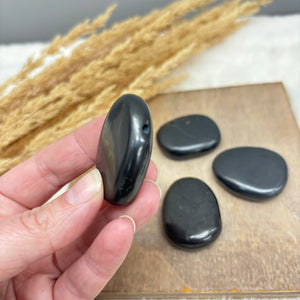 Shungite Stone