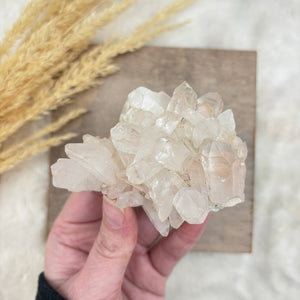 Himalayan quartz "Teach the User" cluster