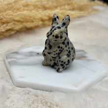 Dalmatian Jasper "The Yin-Yang Balancer"