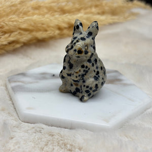Dalmatian Jasper "The Yin-Yang Balancer"