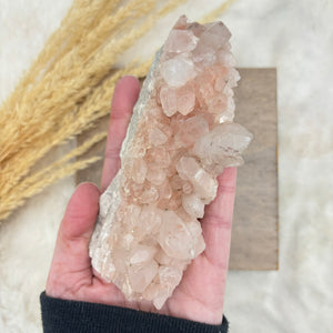 Himalayan quartz "Teach the User" cluster