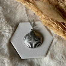 Stainless Steel / Sea Shell Necklace