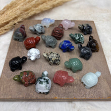 Gemstone Turtle Pocket Stone / Variety of Stones