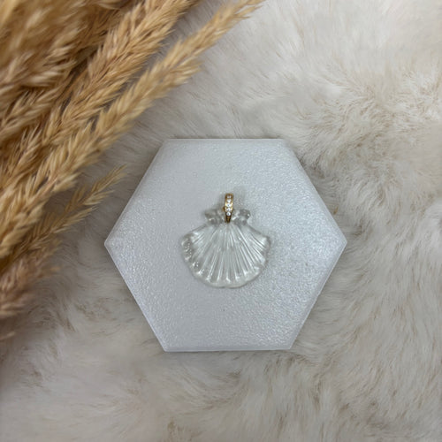 Stainless Steel Acrylic / Shell Clam Pendant or Necklace