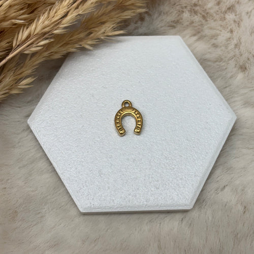 Stainless Steel / Horse Shoe Pendant or Necklace