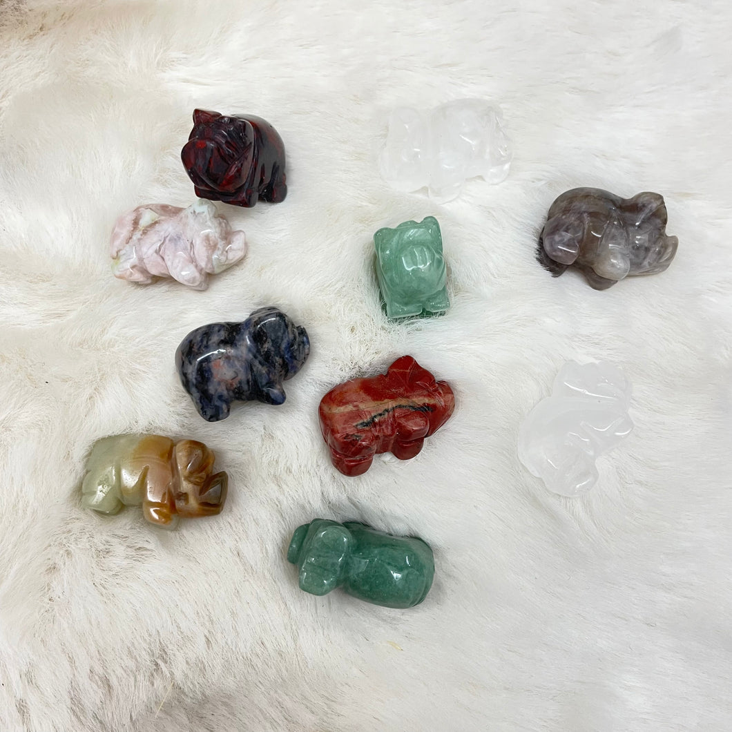 Gemstone Pig Pocket Stone / Variety of Stones