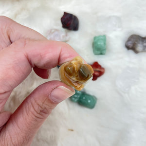 Gemstone Pig Pocket Stone / Variety of Stones