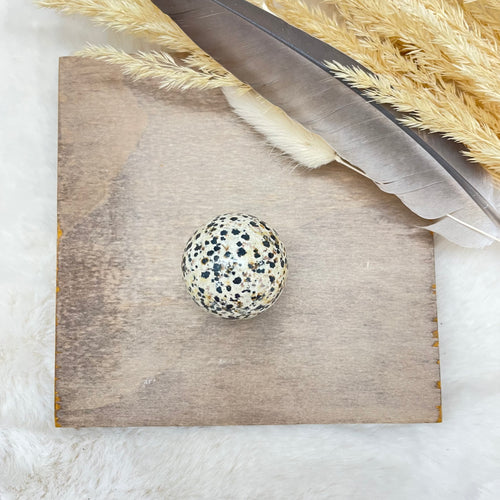 Dalmatian Jasper 