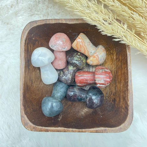 Gemstone Mushroom / Variety of Stones