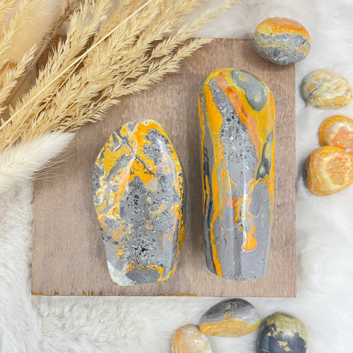 Bumble Bee Jasper 