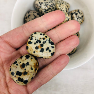 Dalmatian Jasper "The Yin-Yang Balancer" Pocket Stone