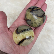 Dragon Egg (septarian)