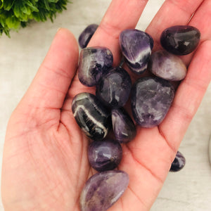 Amethyst "The Stress Reliever" Pocket Stone