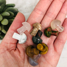 Gemstone Mushroom Mini / Variety of Stones