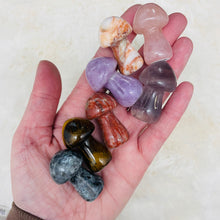 Gemstone Mushroom / Variety of Stones